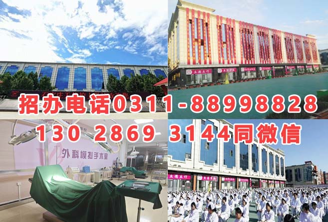 石家莊天使護士學(xué)校2026年招生分數(shù)線是多少？